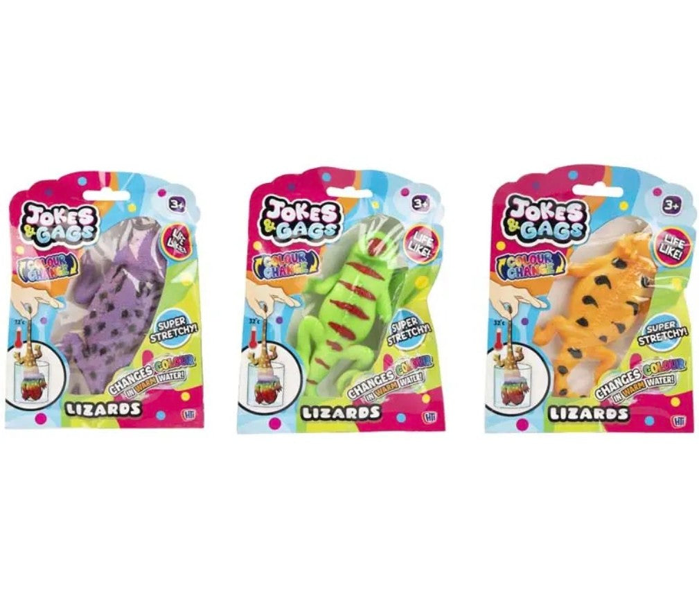 Colour Change Lizards