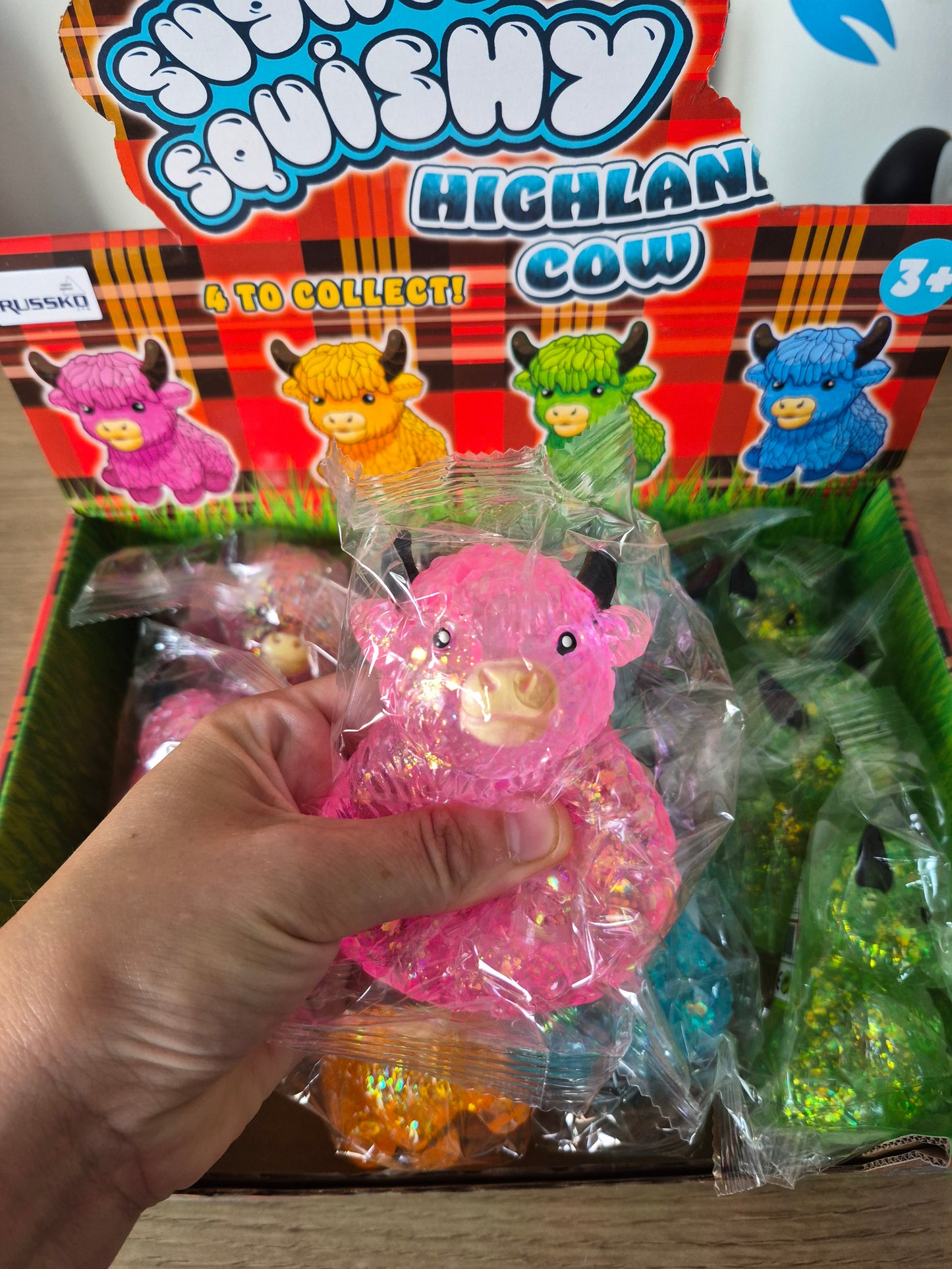 Sugar Maltose Highland Cow