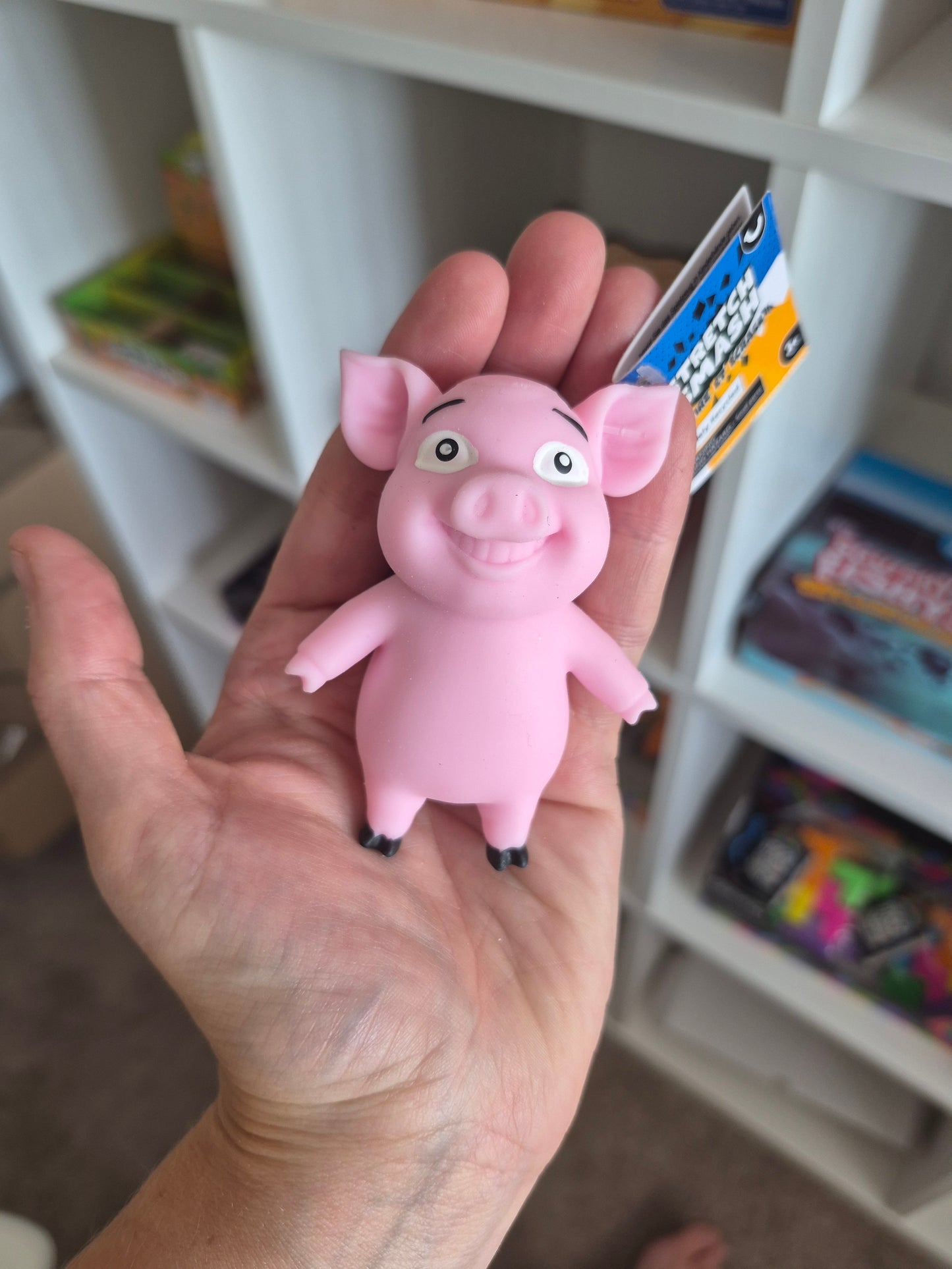 Stretch N Smash Mini Pig